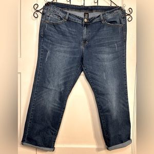 Plus Size Distressed Women’s Jeans